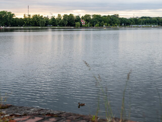 view of pond in Kaliningrad city on summer evening