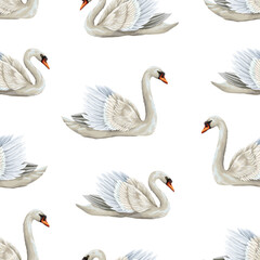 Seamless pattern with white swan. Vector.