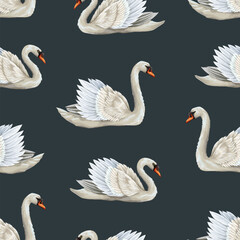 Seamless pattern with white swan. Vector.