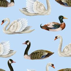 Seamless pattern with white swan and duck. Vector.