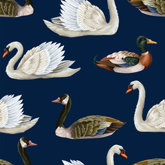 Seamless pattern with white swan and duck. Vector.