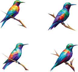 set of colorful birds