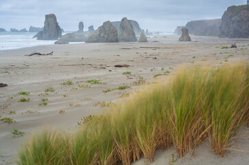 Oregon Coast in Autumn, sea stacks in light fog,  City of Bandon, Southern Oregon, USA.
