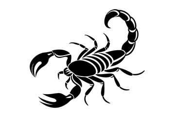 Line art of a scorpion on a white background