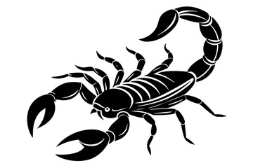 Line art of a scorpion on a white background
