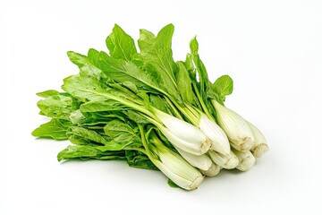 A bunch of fresh bok choy with green leaves and white stems.