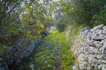 Un tratto del Sentiero natura belvedere fra due file di muretti a secco dove passa il Cammino del Salento che da Lecce porta a Santa Maria di Leuca