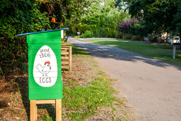 A fresh local eggs farmstand is located on a gravel road in the Outer Banks in North Carolina.