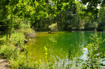 Rheinauen in der Ortenau bei  Meißenheim