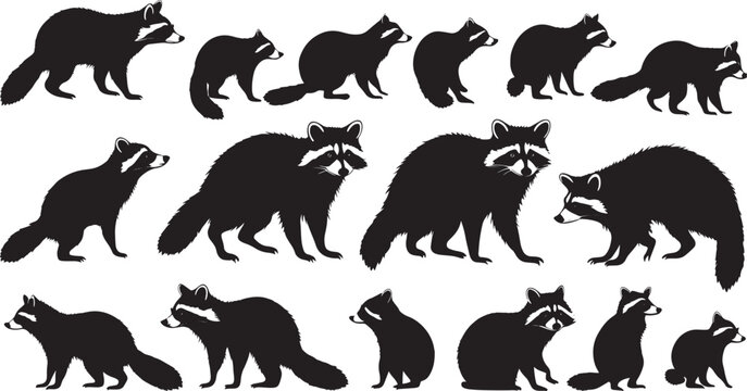 set of raccoon silhouette isolated on white background