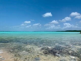Turks and Caicos beaches feature soft, white sand blending seamlessly into crystal-clear turquoise waters. The gentle waves and endless horizon create a serene and picturesque tropical escape.