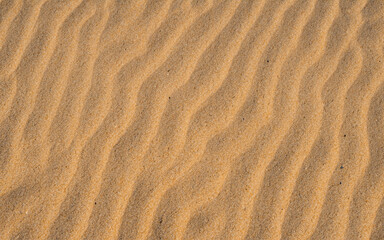 Fototapeta premium sand background
