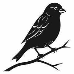 Finch bird Silhouette Vector Style with A Tree Branch on a White Background.