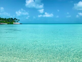 Fototapeta premium Turks and Caicos beaches feature soft, white sand blending seamlessly into crystal-clear turquoise waters. The gentle waves and endless horizon create a serene and picturesque tropical escape.