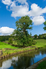Fototapeta premium lake in the forest