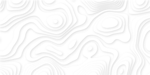 Abstract wavy line 3d paper cut white background, Seamless pattern with lines Topographic map.