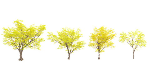 European ash trees with transparent background, 3D rendering, for illustration, digital composition, architecture visualization