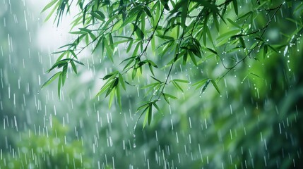 Naklejka premium Raining Through Bamboo Leaves