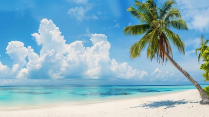 Tropical Paradise: Palm Tree Overlooking Pristine Beach