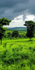 Fototapeta premium A field of green grass with trees in the background. The sky is cloudy and the mood of the image is peaceful and serene