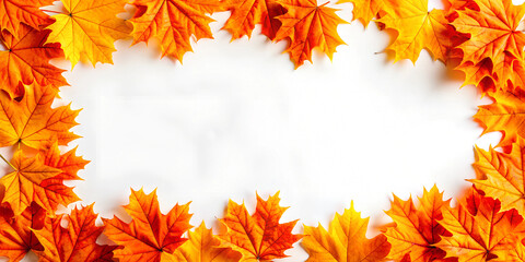 Fototapeta premium Vibrant Orange Maple Leaves on White Background - Autumn Banner Design with Copy Space for Text, Fall Season, Seasonal Decor, Nature Inspired.