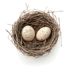 Obraz premium Nest object isolated on transparent png.