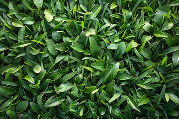 Naklejka premium Lush Greenery: A Close-Up of Vibrant Leaves and Grass