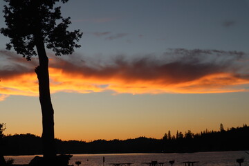 Ethereal peaceful Bass Lake California sunset with orange and pink clouds and tree silhouette