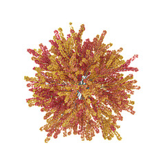 Obraz premium Autumn plant on isolated Canvas from top view