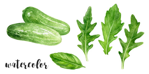 A beautiful watercolor illustration showcasing fresh green vegetables like cucumber and arugula