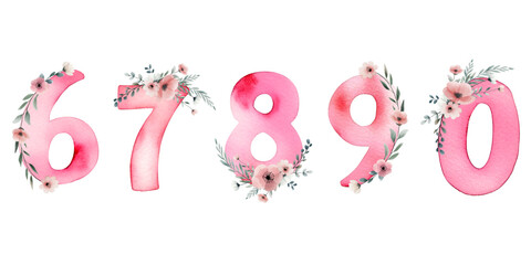 Set of watercolor numbers with delicate flowers. Hand painted pink watercolor numbers. Numbers 6 7 8 9 0.