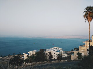 Nadmorskie miasteczko w Europie z palmą z wybrzeżem i morzem