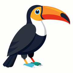 toucan bird vector illustration