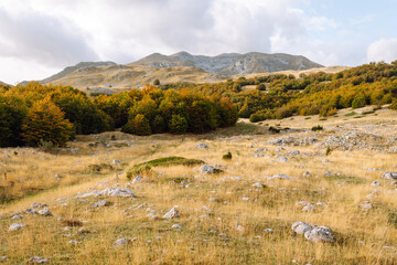 Scenic landscape of rocky terrain and autumn foliage in a serene countryside setting during...