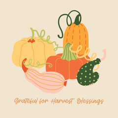 Autumn harvest various pumpkins and leaves hand drawn cute simple illustration composition. Modern clip art poster for children books, stationery, banners and social media