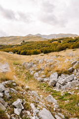 Scenic landscape of rocky terrain and autumn foliage in a serene countryside setting during overcast weather