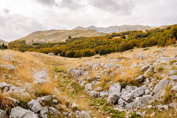 Scenic landscape of rocky terrain and autumn foliage in a serene countryside setting during...