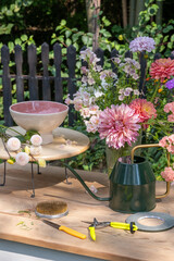 Florist's desk with cut flowers in a vase, ceramic coated bowl, flower frog, green metal watering can on a sunny day in the garden
