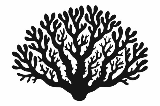 recommend clip art: coral silhouette, coral black icon, coral svg, seaweed silhouette vector illustration
                    
                    