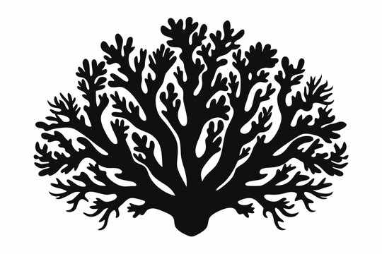 recommend clip art: coral silhouette, coral black icon, coral svg, seaweed silhouette vector illustration
                    
                    