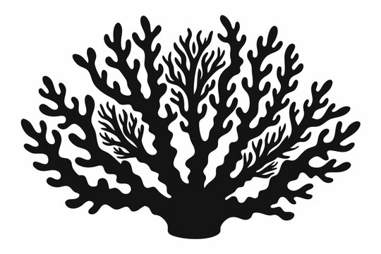 recommend clip art: coral silhouette, coral black icon, coral svg, seaweed silhouette vector illustration
                    
                    