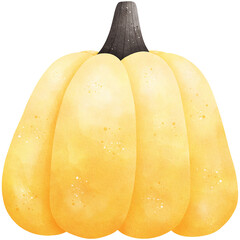 Watercolor Yellow Pumpkin Illustration Isolated on Transparent Background