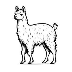 Llama Vector