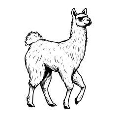 Llama Vector