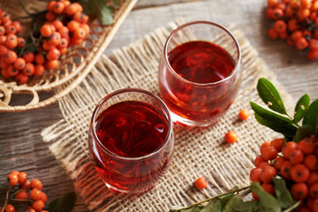 Homemade herbal syrup in two shot glasses with fresh wild orange rowanberry