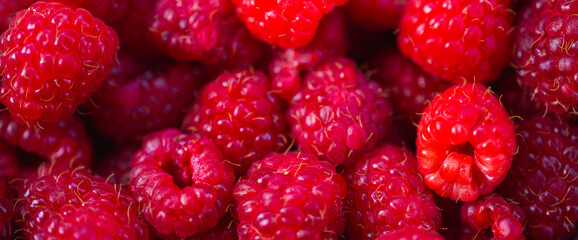 panoramic delicious photo of fruit, Close-up of raspberries, top fill frame, background, close-up view. Selective focus.