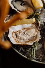 Fresh oysters with lemon on ice, ideal for gourmet seafood dishes and fine dining experiences