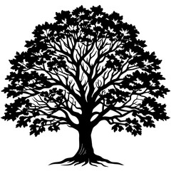 tree silhouette isolated on white