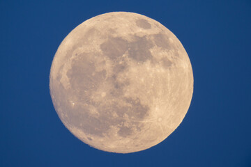 photograph of the full moon taken with a reflex camera