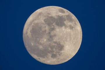 photograph of the full moon taken with a reflex camera